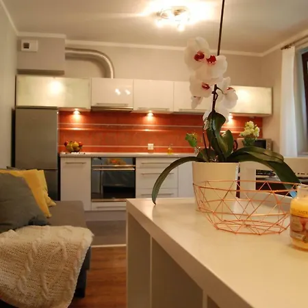 Apartment Oasis