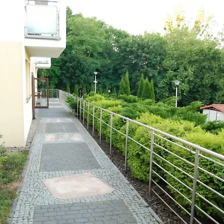 Oasis Apartment